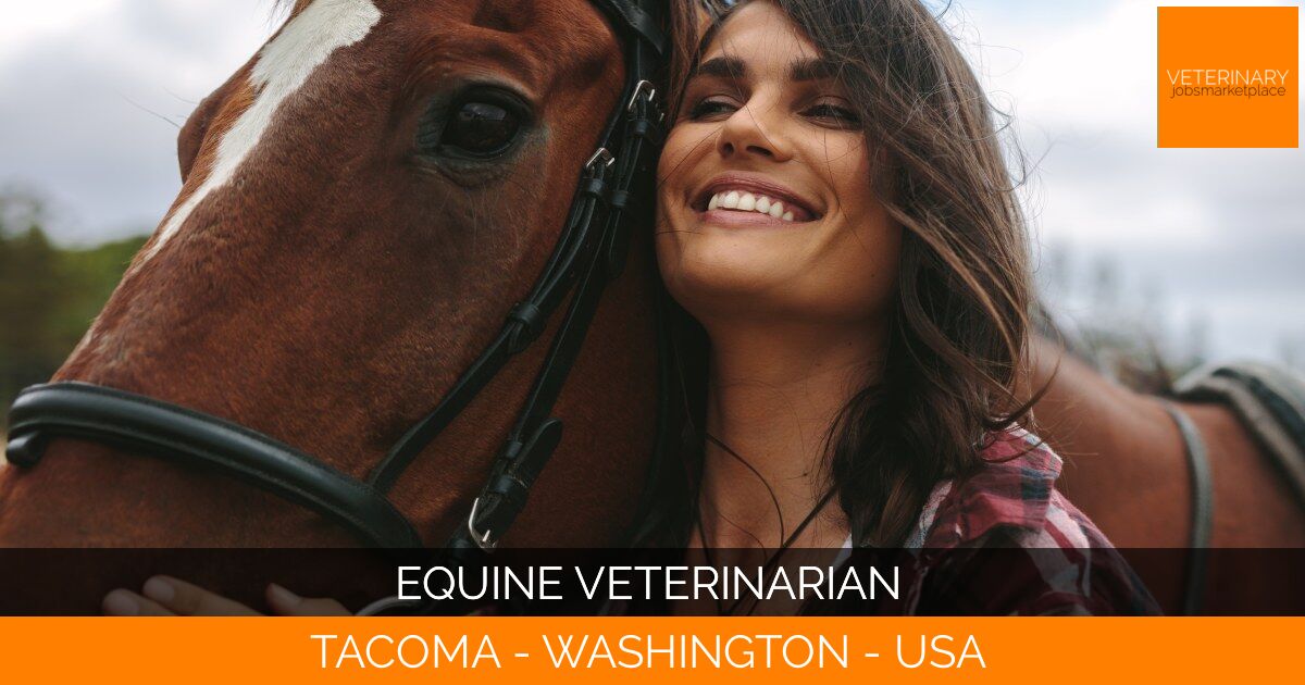 Equine Veterinarian
