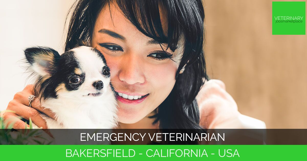 Emergency Veterinarian