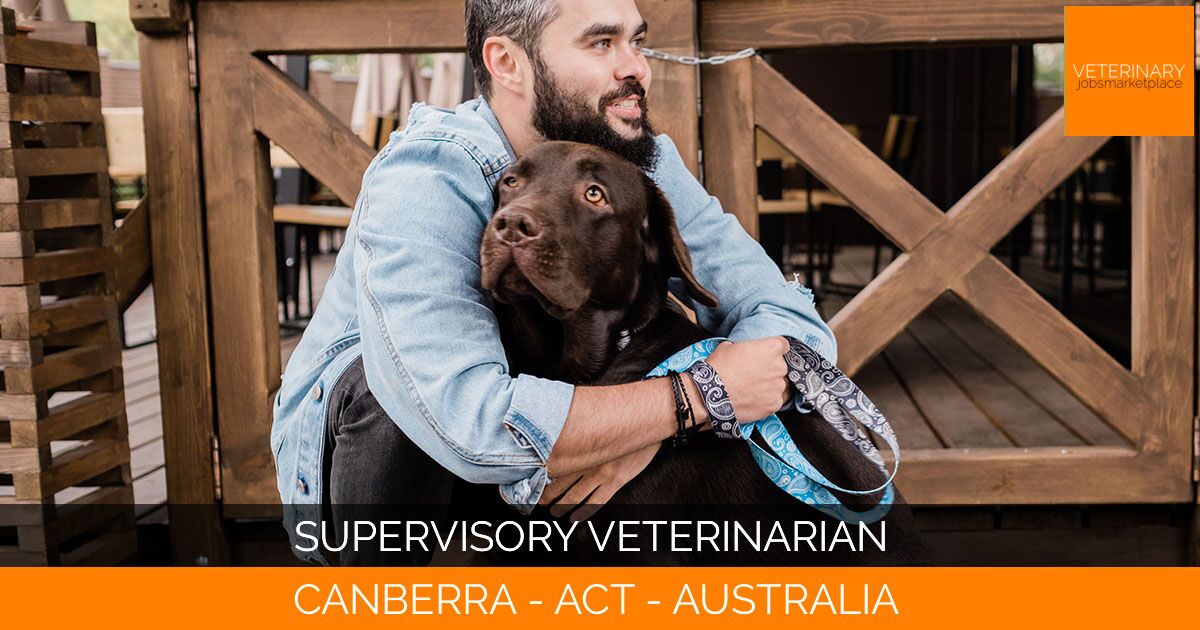 Supervisory Veterinarian