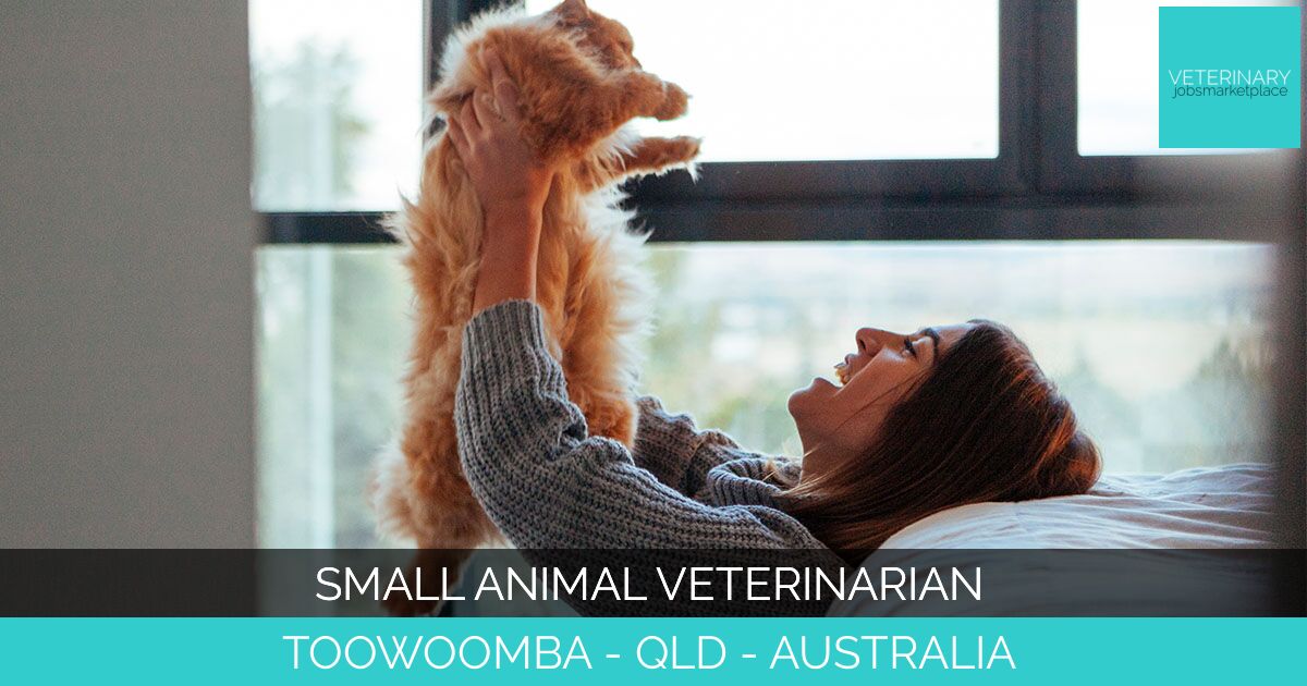 Small Animal Veterinarian