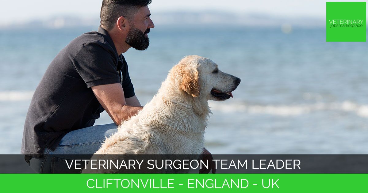 Veterinary Surgeon Team Leader