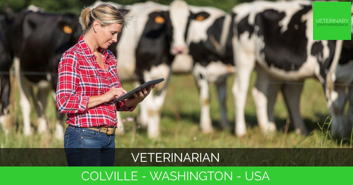 Veterinarian