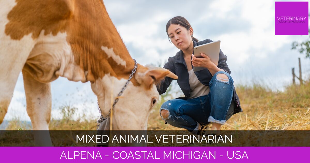 Mixed Animal Veterinarian
