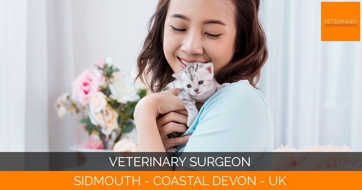 Veterinary Surgeon