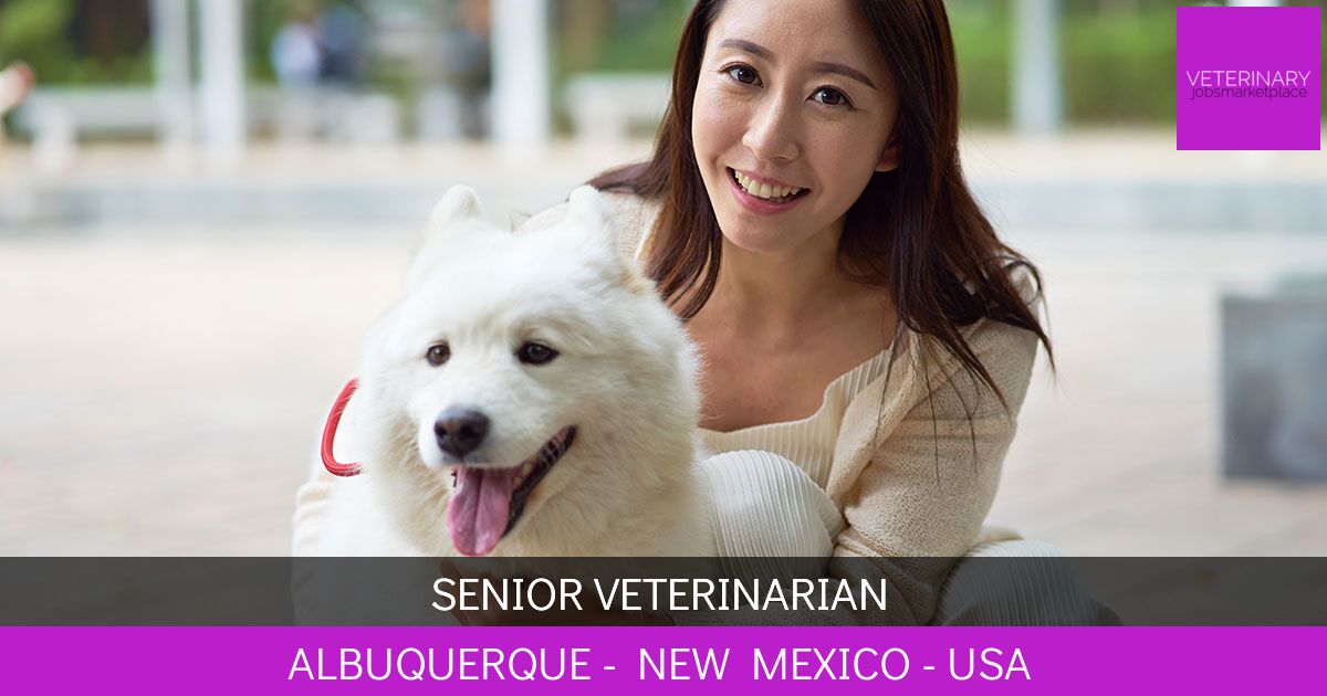 Senior Veterinarian