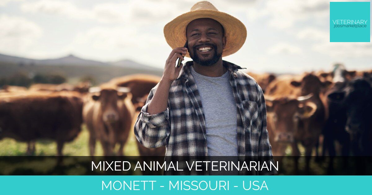 Mixed Animal Veterinarian