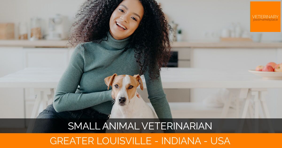 Small Animal Veterinarian