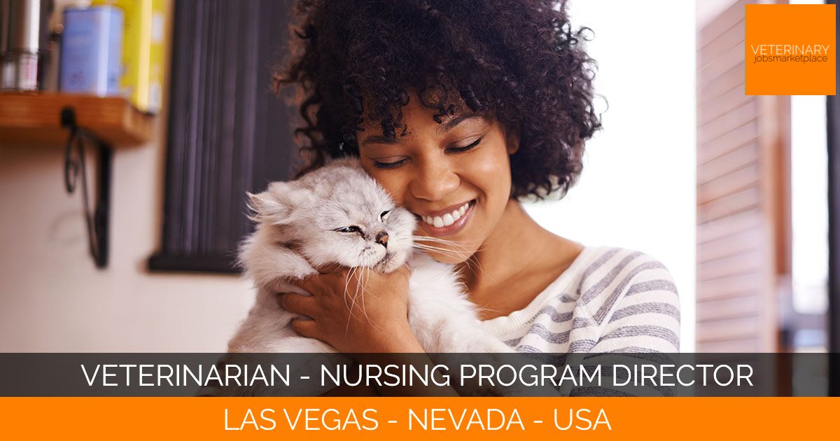 Veterinarian - Nursing Program Director