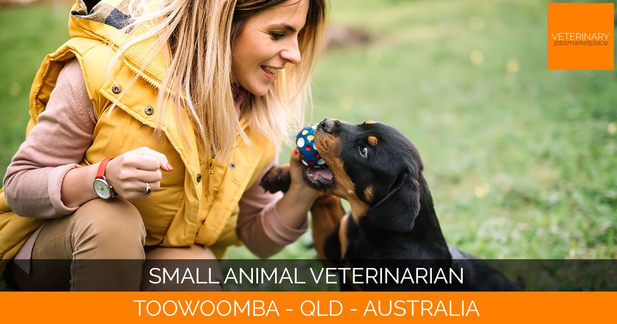 Small Animal Veterinarian