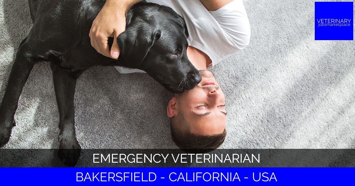 Emergency Veterinarian