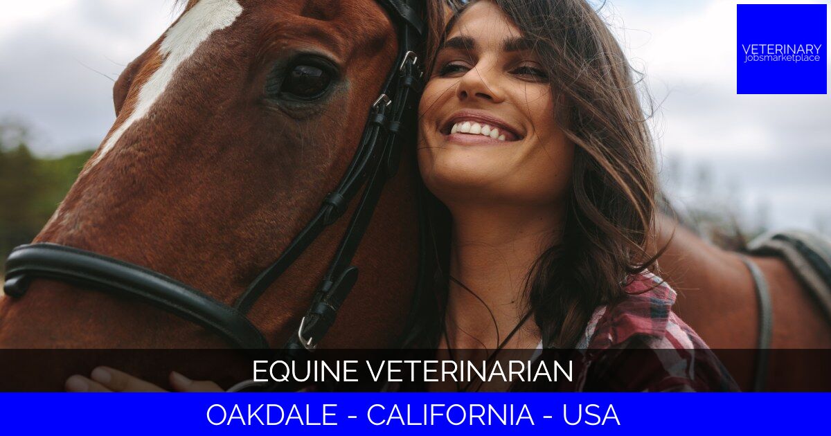 Equine Veterinarian