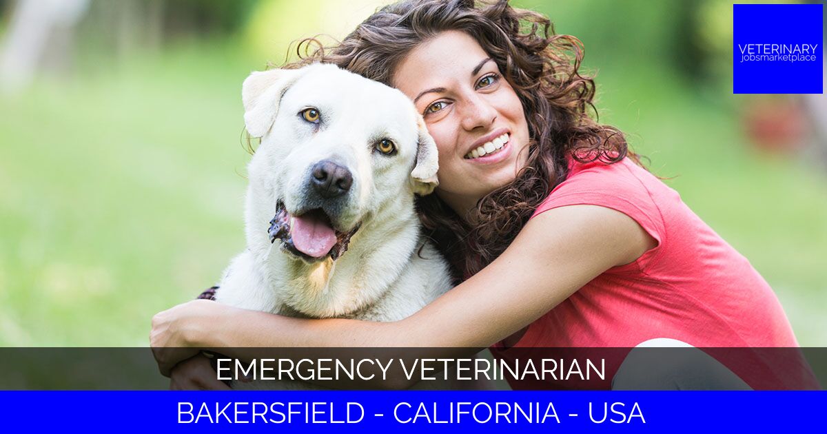 Emergency Veterinarian