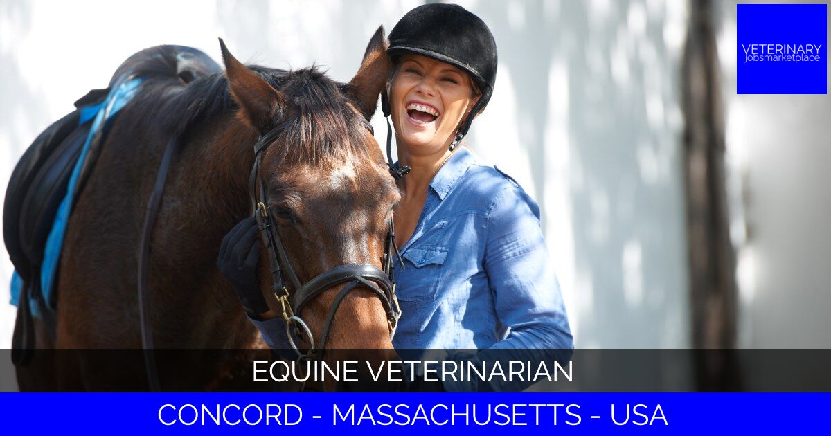 Equine Veterinarian