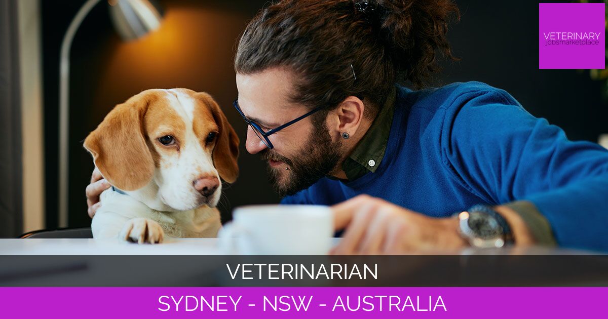 Veterinarian