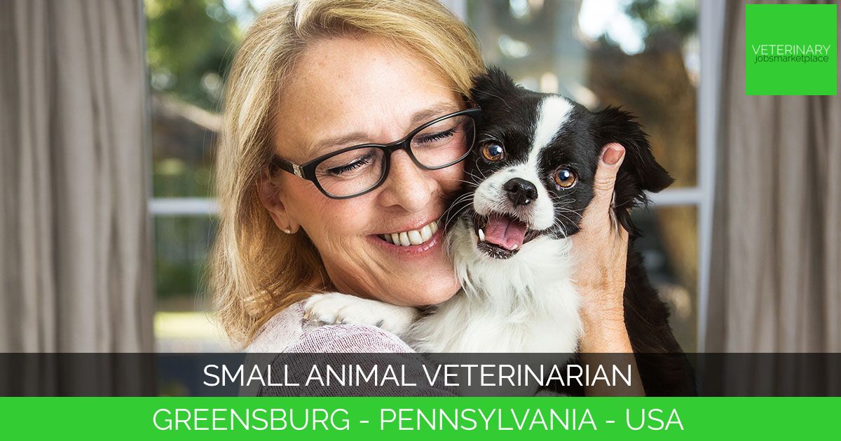 Small Animal Veterinarian