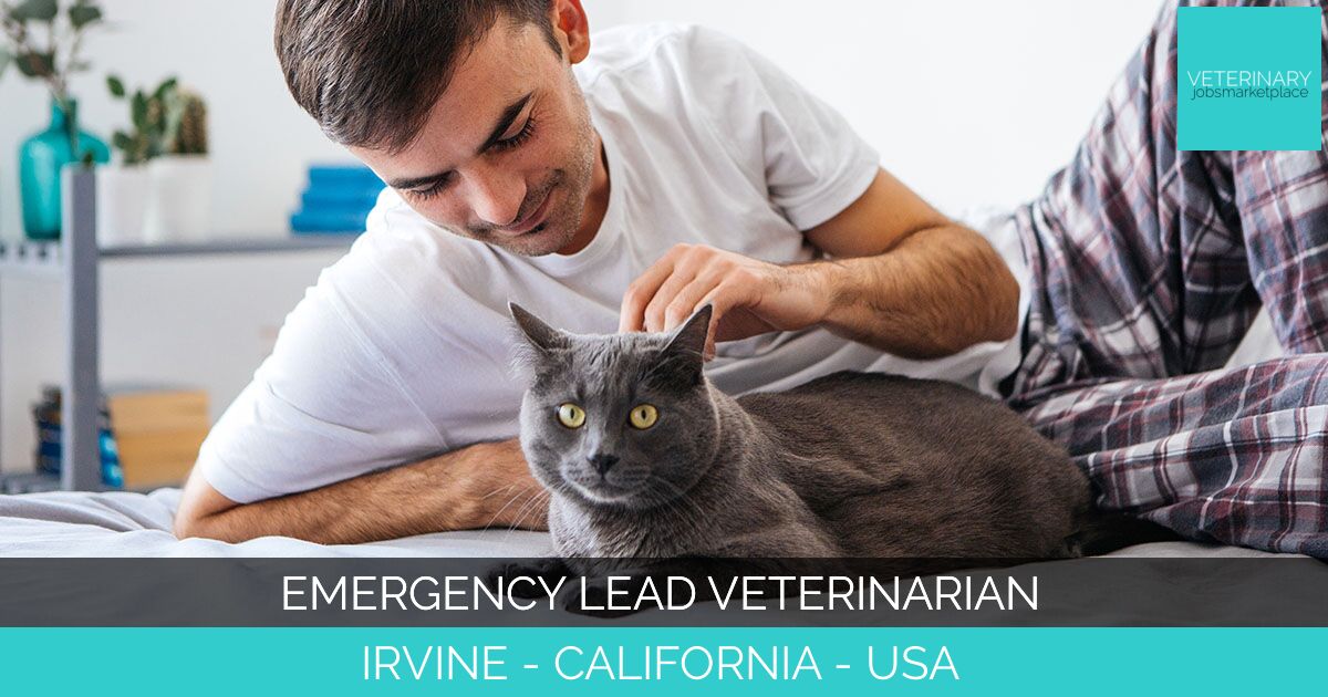 Emergency Lead Veterinarian
