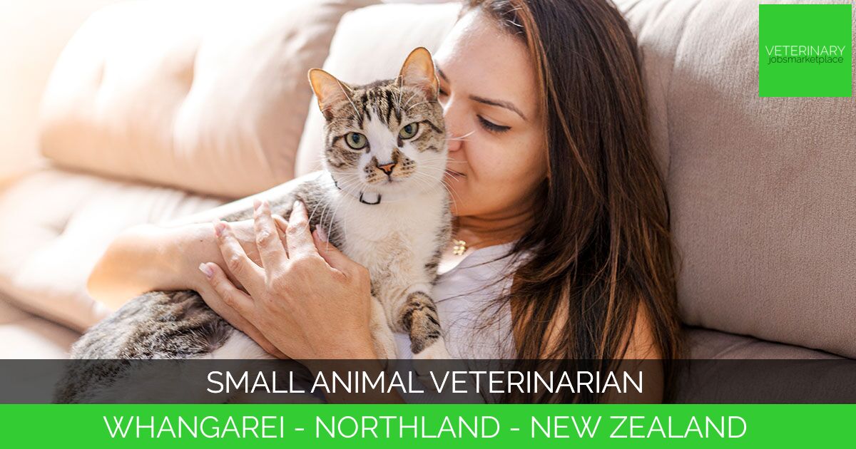 Small Animal Veterinarian