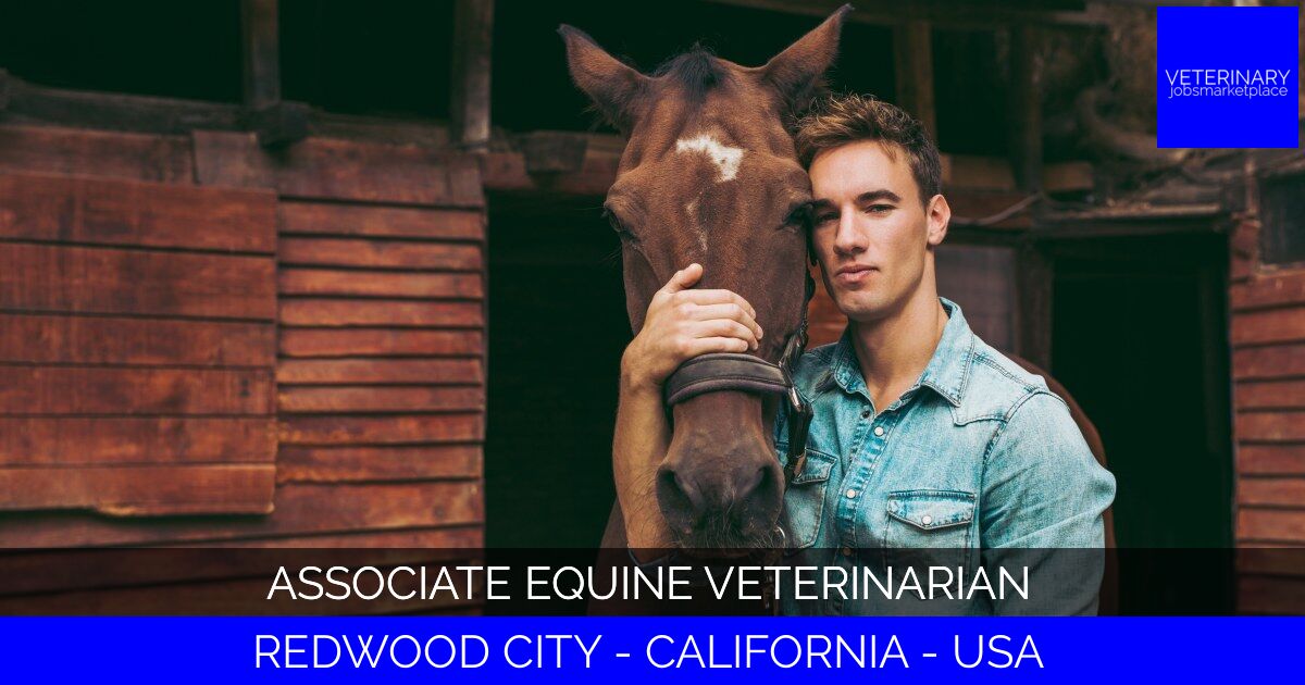 Associate Equine Veterinarian