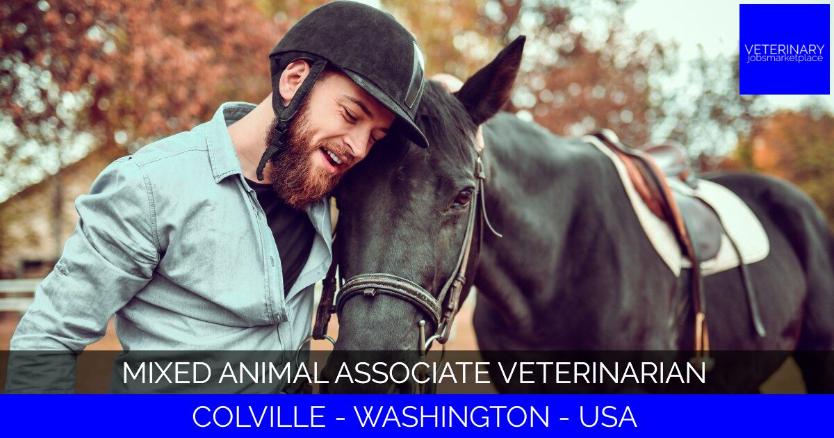 Mixed Animal Associate Veterinarian