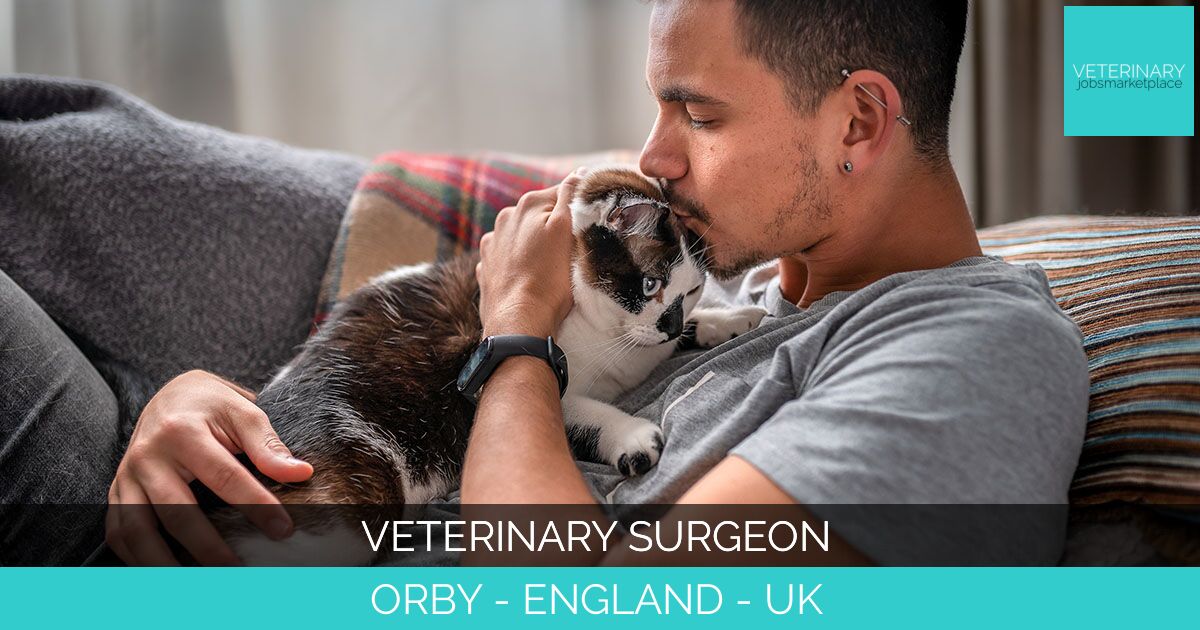 Veterinary Surgeon