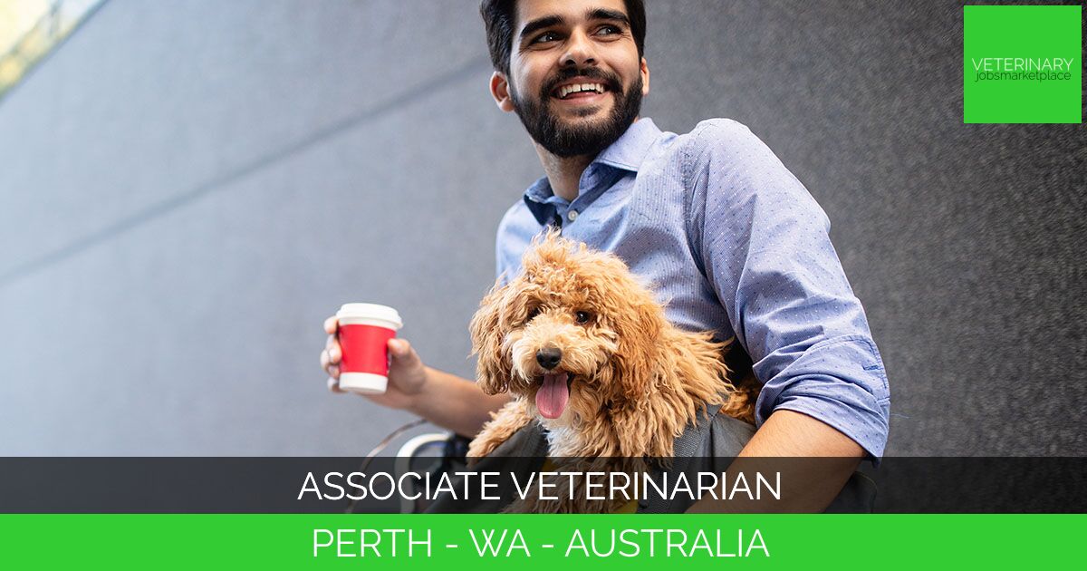 Associate Veterinarian
