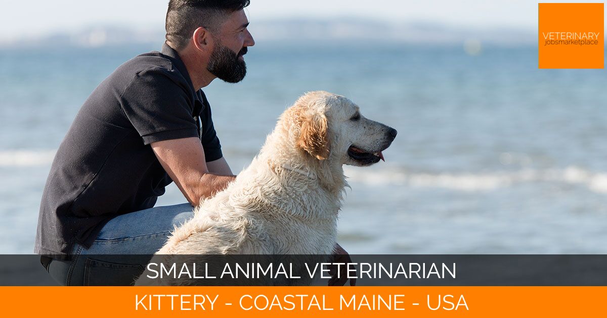 Small Animal Veterinarian
