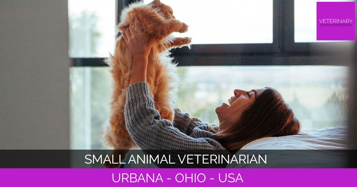 Small Animal Veterinarian