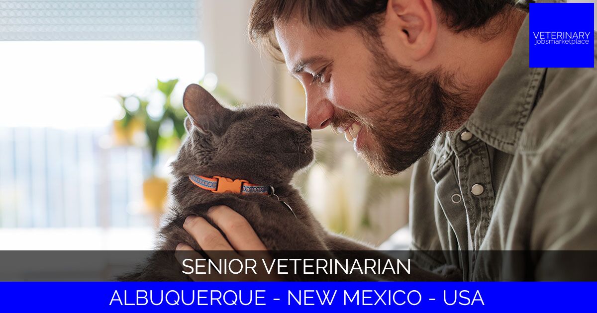 Senior Veterinarian