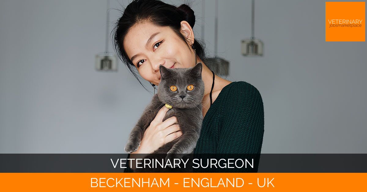 Veterinary Surgeon
