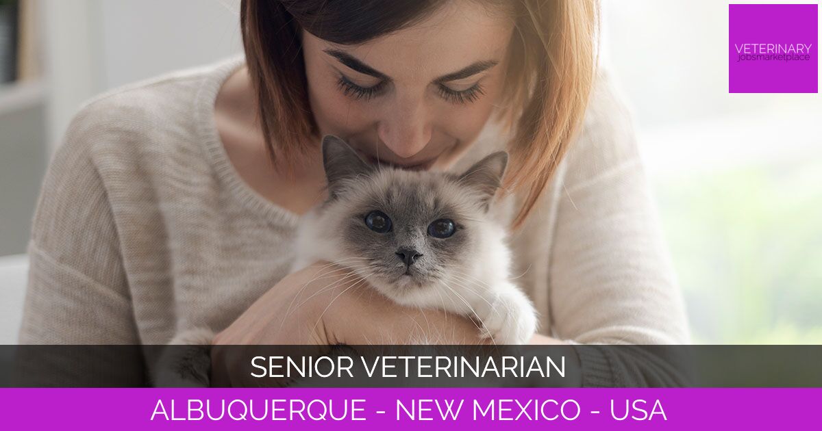 Senior Veterinarian