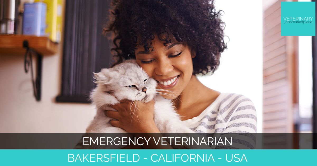 Emergency Veterinarian