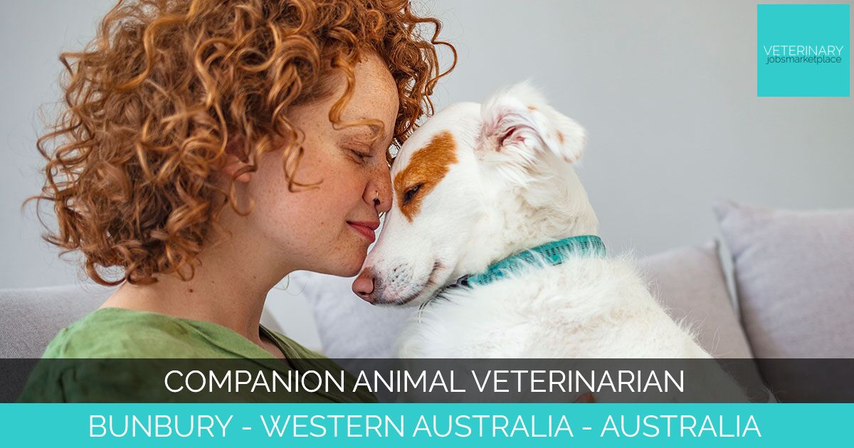 Companion Animal Veterinarian
