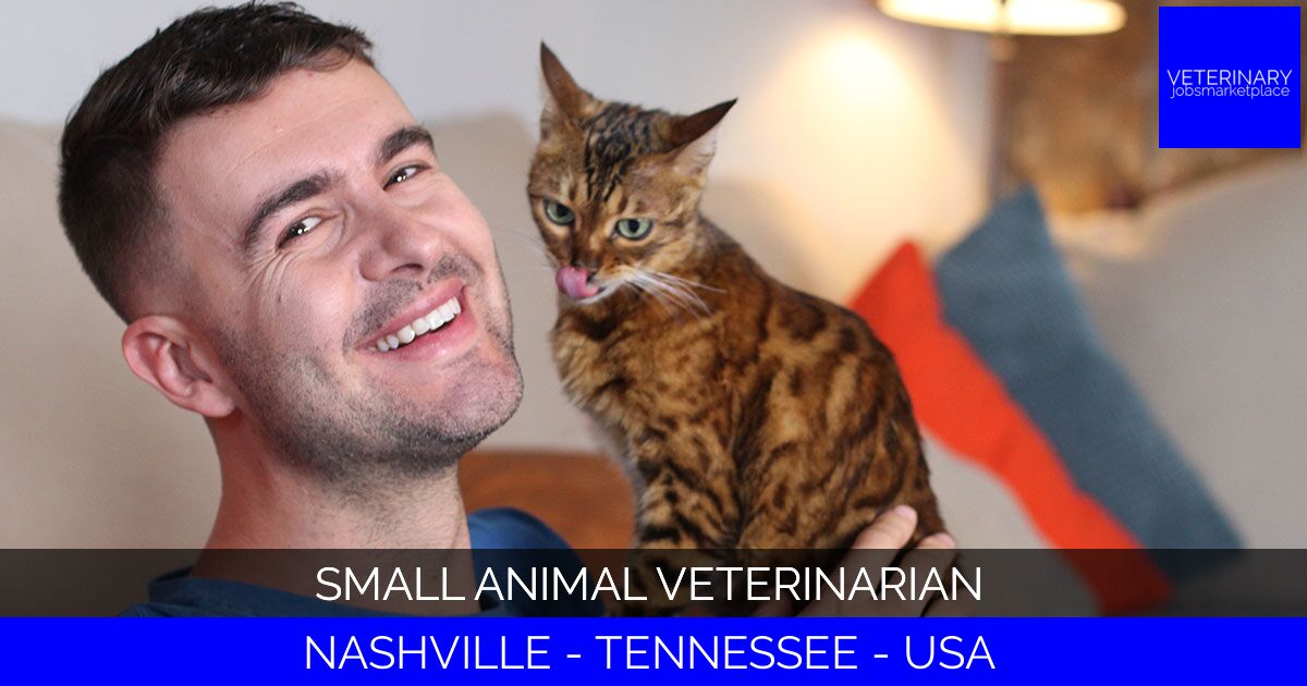 Small Animal Veterinarian