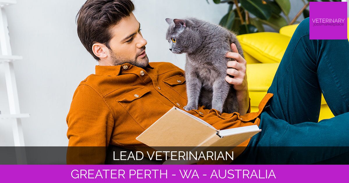 Lead Veterinarian