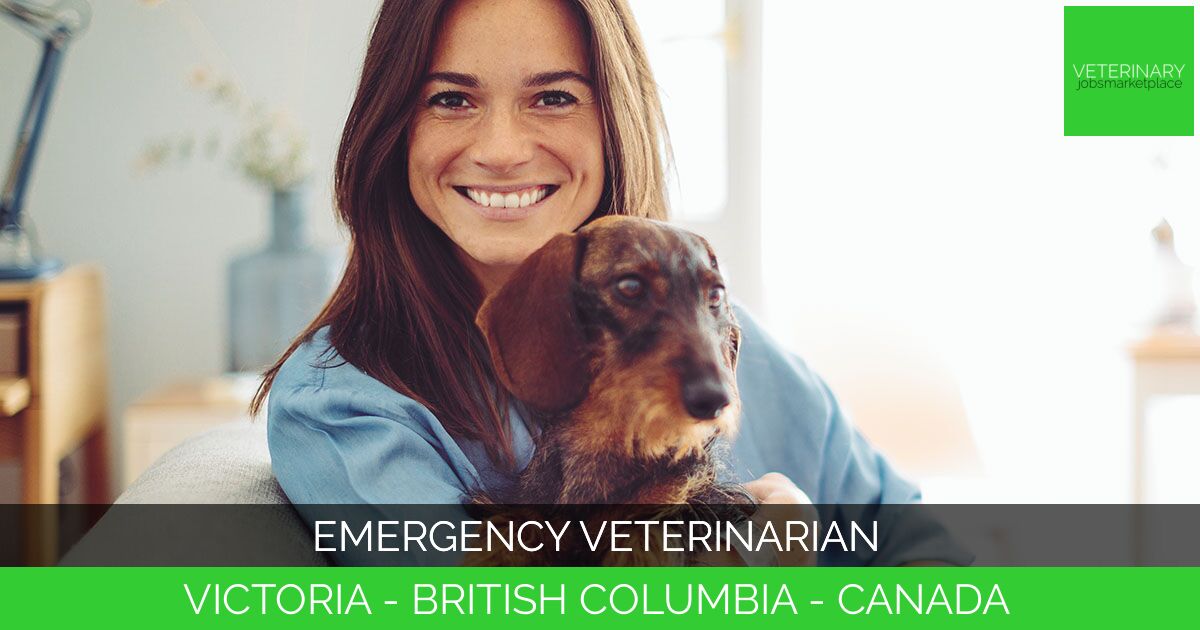 Emergency Veterinarian