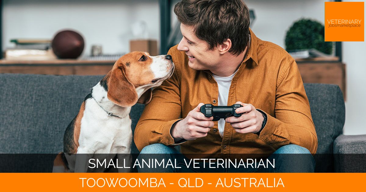 Small Animal Veterinarian