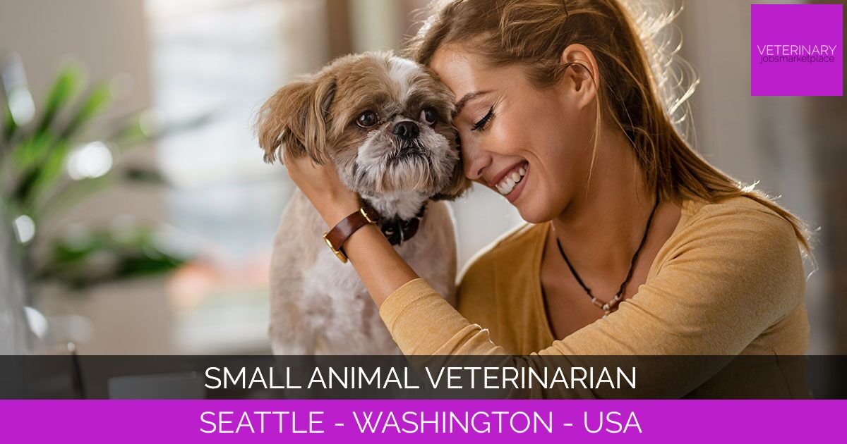 Small Animal Veterinarian