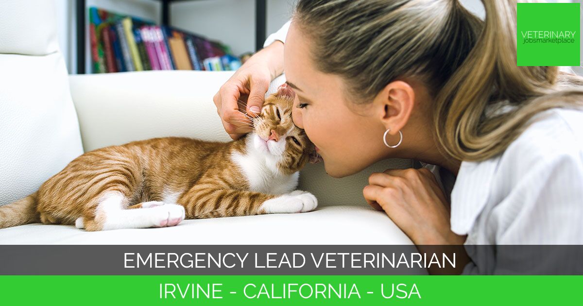 Emergency Lead Veterinarian