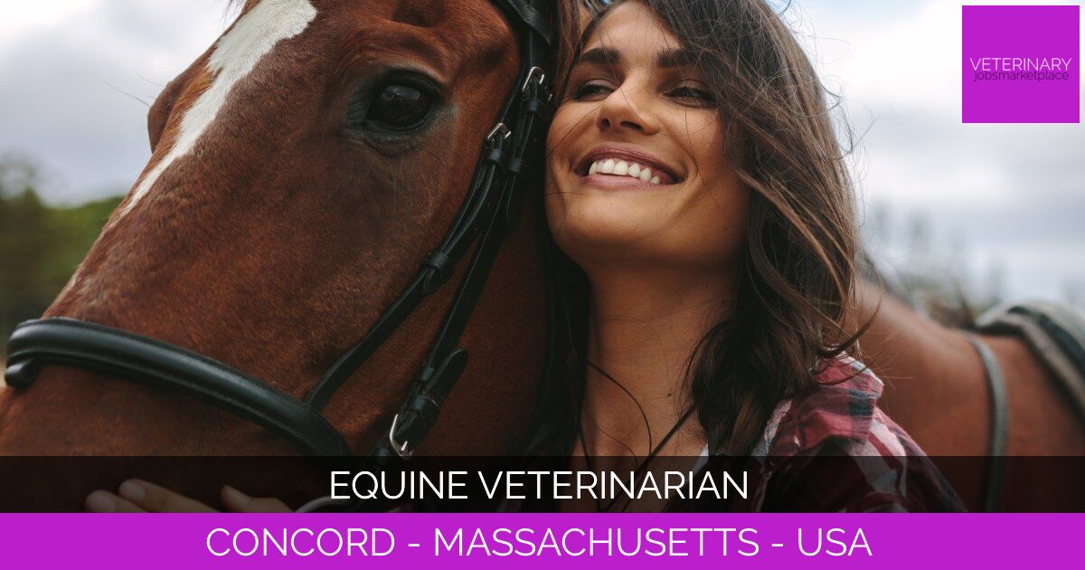Equine Veterinarian