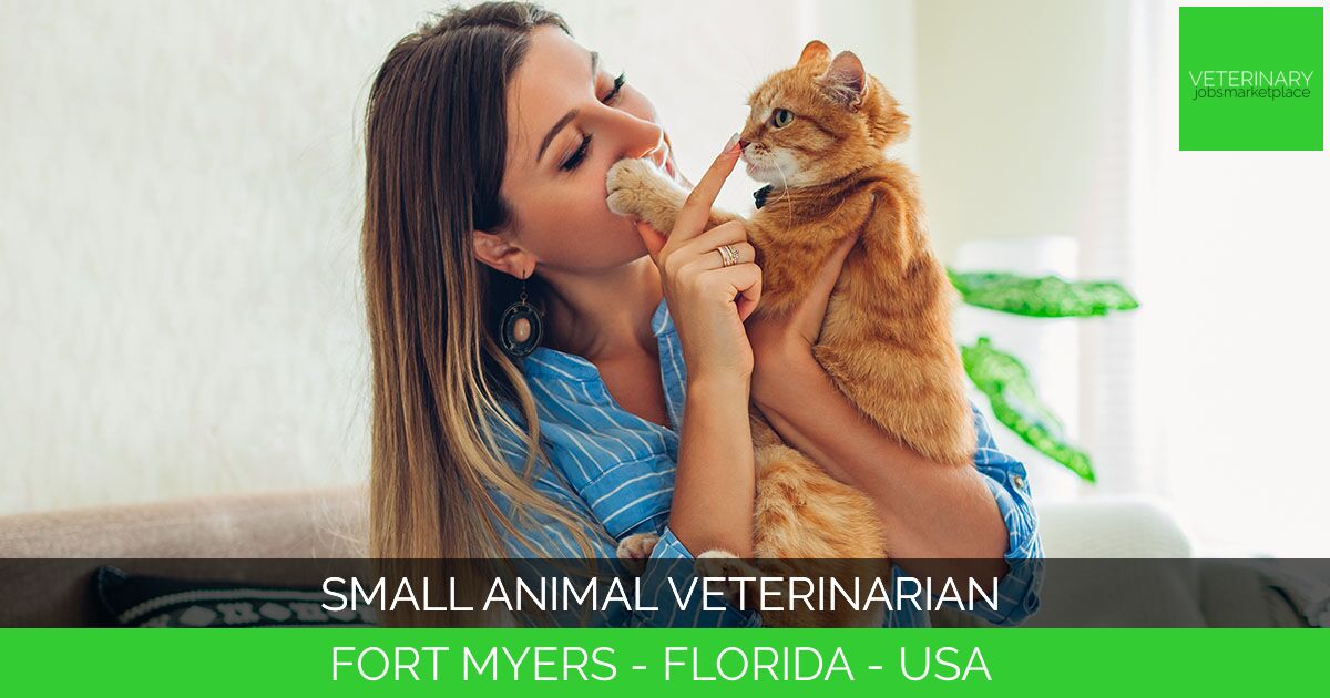 Small Animal Veterinarian
