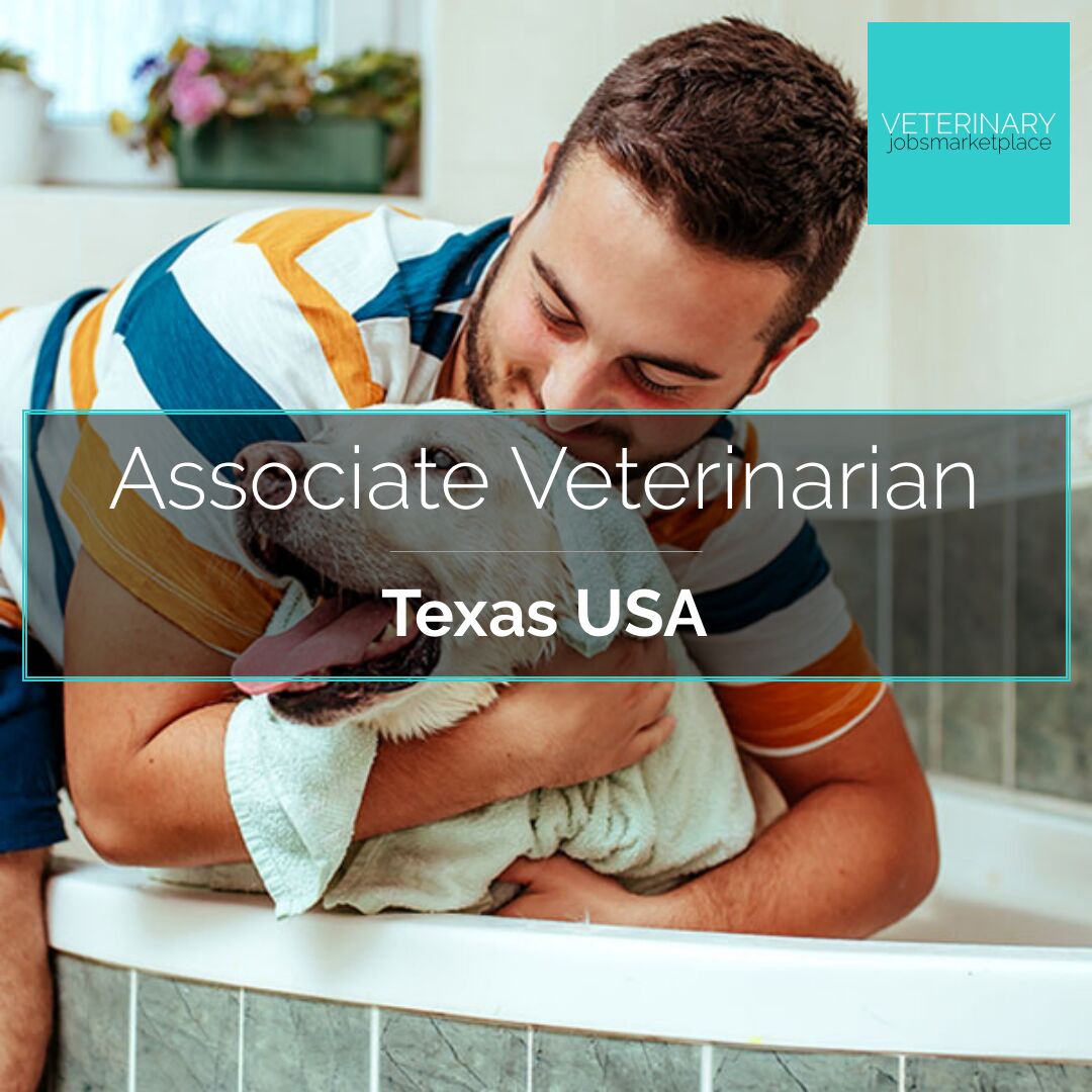Veterinary Jobs Tyler Texas - Associate Veterinarian :: Veterinary Jobs  Marketplace