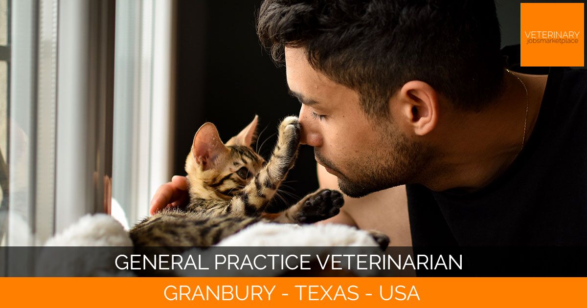 General Practice Veterinarian