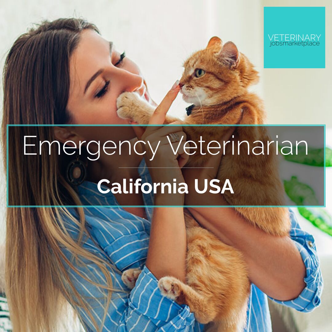 Veterinary Jobs Greater San Francisco California - Emergency Veterinarian  :: Veterinary Jobs Marketplace