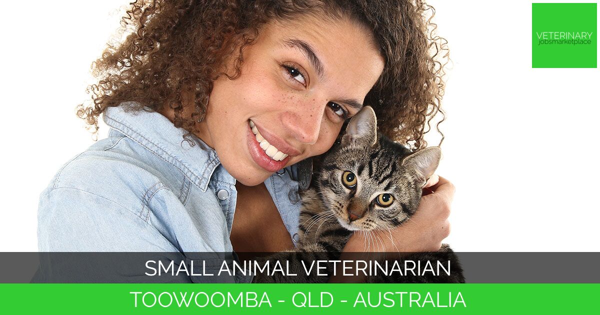Small Animal Veterinarian