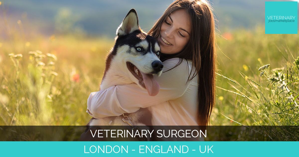 Veterinary Surgeon