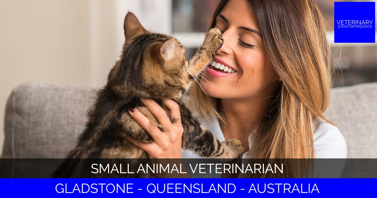 Small Animal Veterinarian