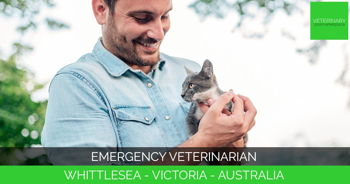 Emergency Veterinarian
