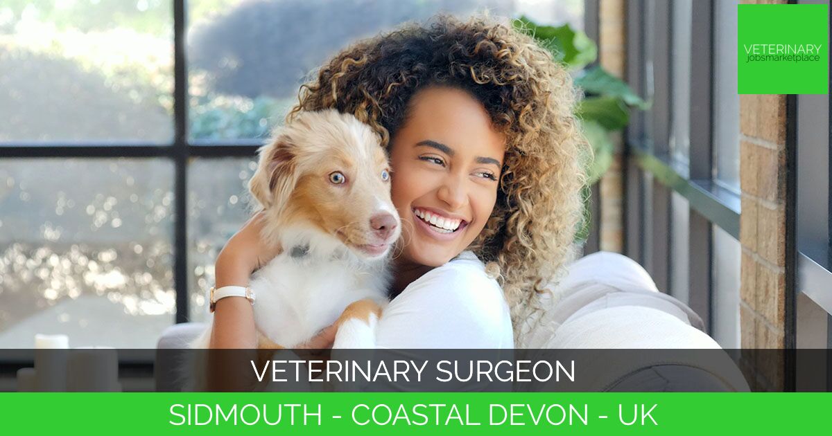 Veterinary Surgeon