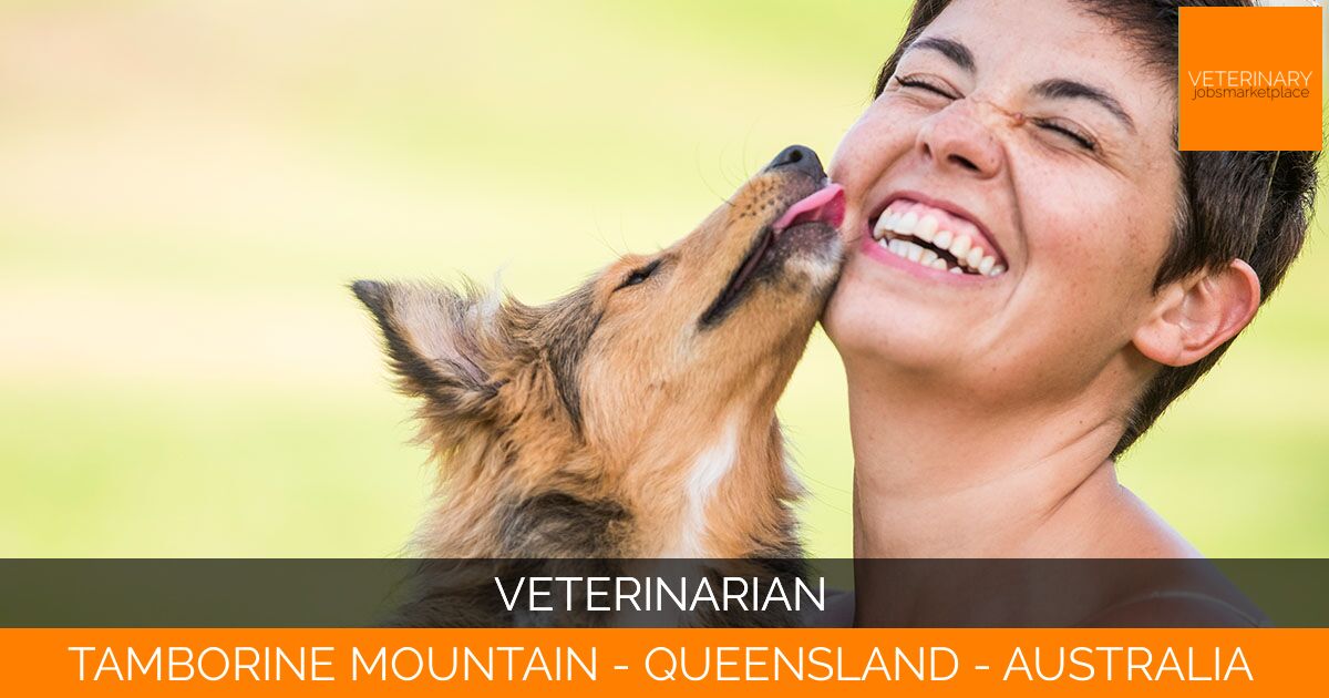 Veterinarian