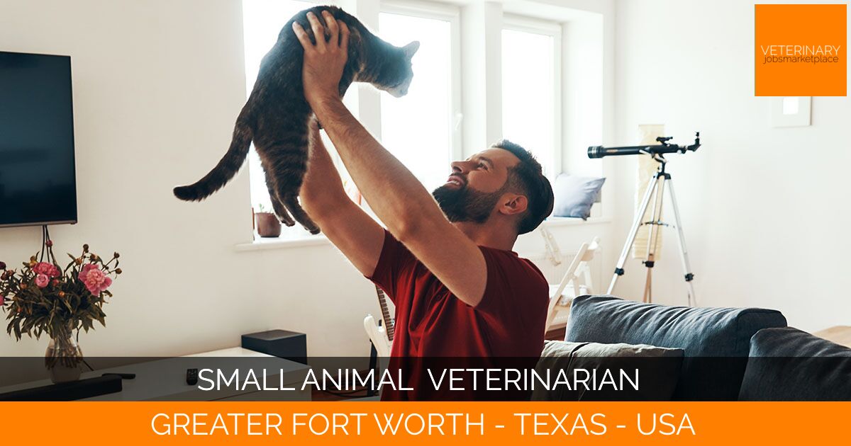 Small Animal  Veterinarian